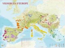 Editions Benoît France - Poster - Carte des Vignobles d'Europe
