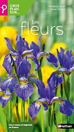 Editions Nathan - Guide - Gros plan sur les fleurs