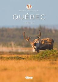 Glénat - Guide - Québec, Les clés pour bien voyager